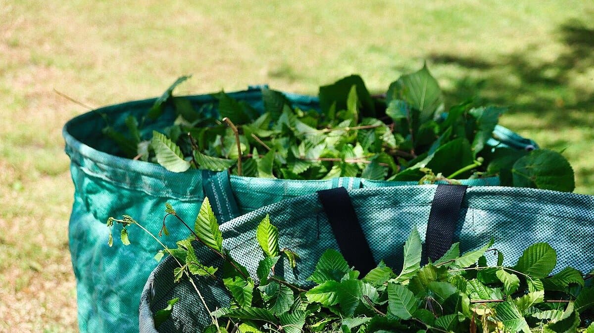 Säcke mit Grünschnitt. © pixabay.de