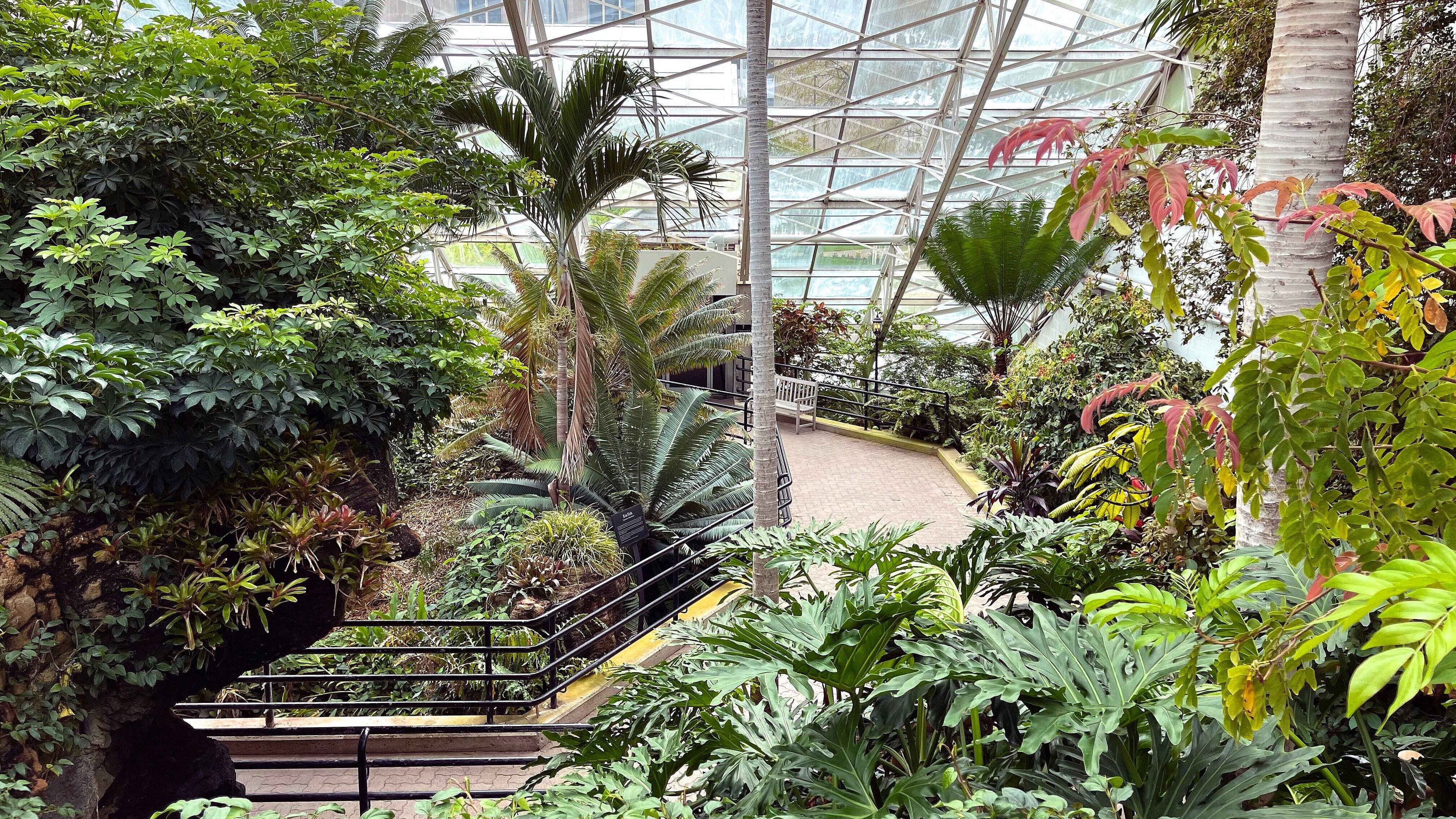 undefined. © Ramon Miller. © Ramon Miller