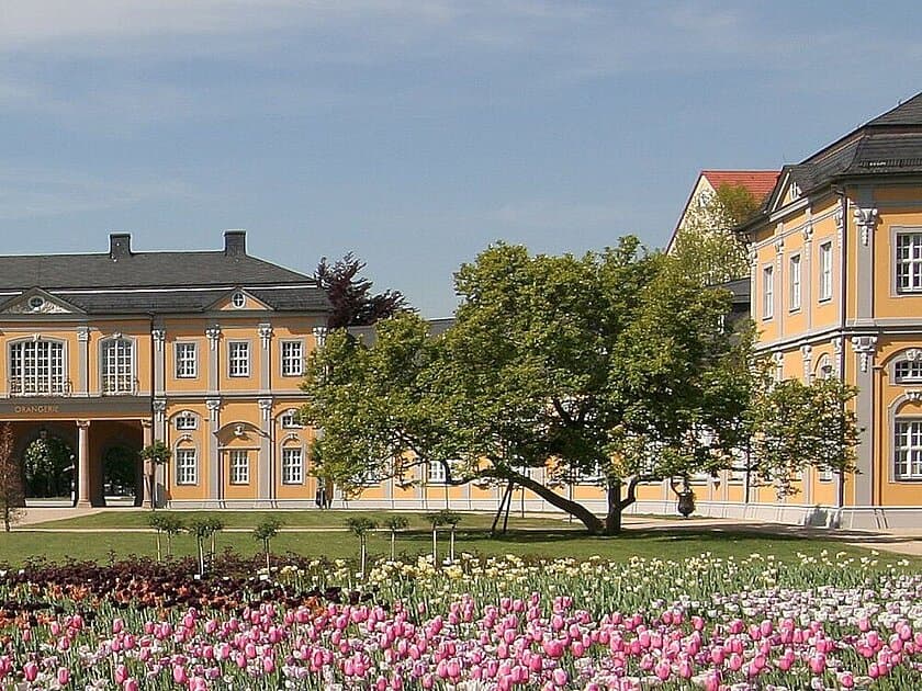 Magnolie im Küchengarten. © Frank Schenke