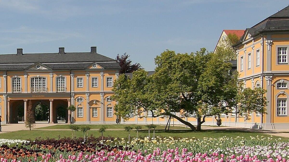 Magnolie im Küchengarten. © Frank Schenke