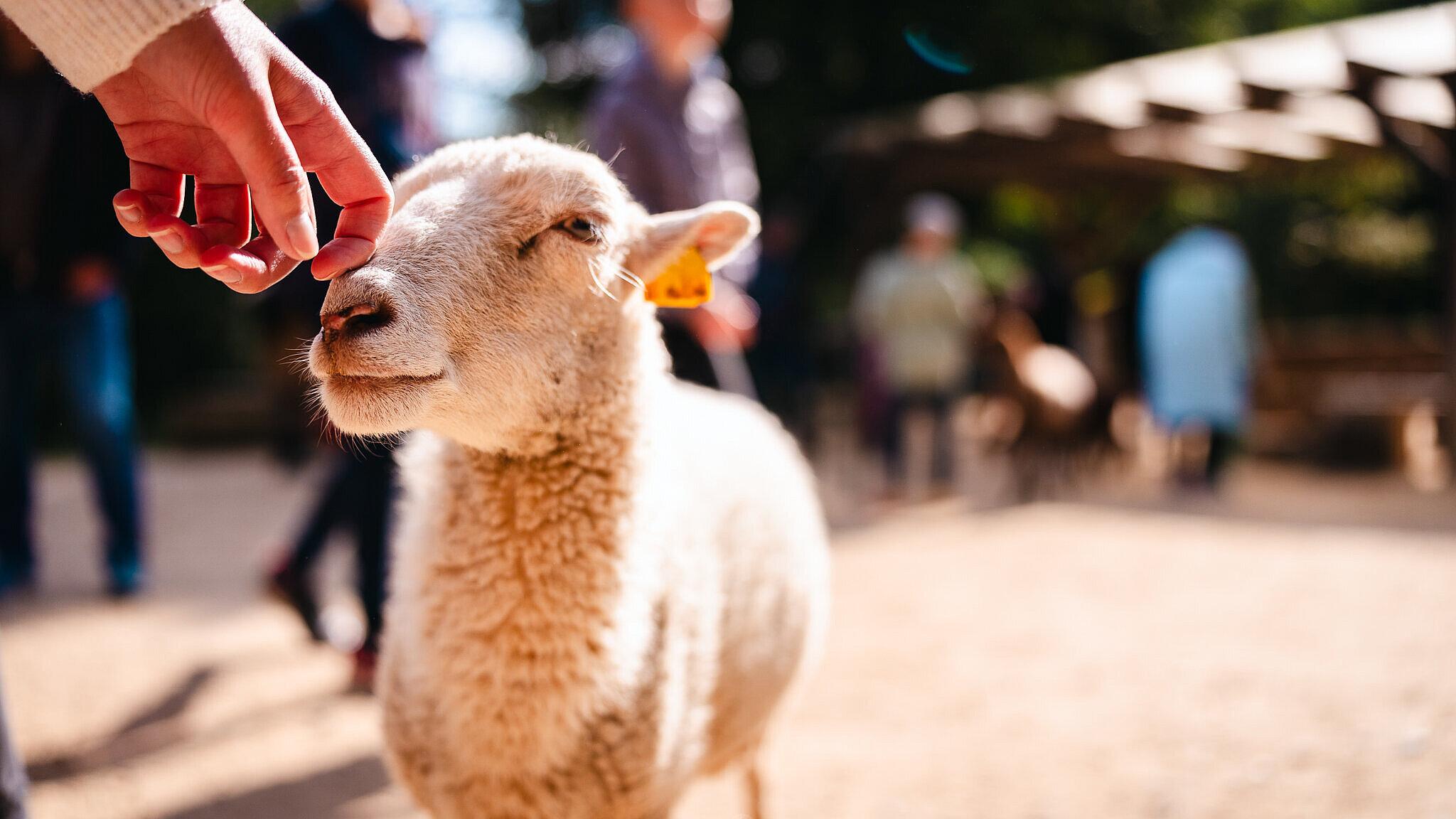 undefined. © Tony Matysik. © Tony Matysik