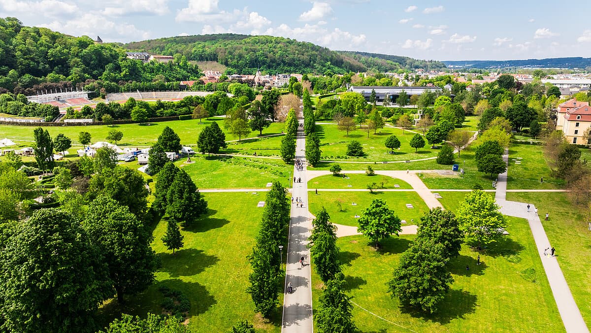 Blick von oben auf Wiesen mit Wegen. © Björn Walter