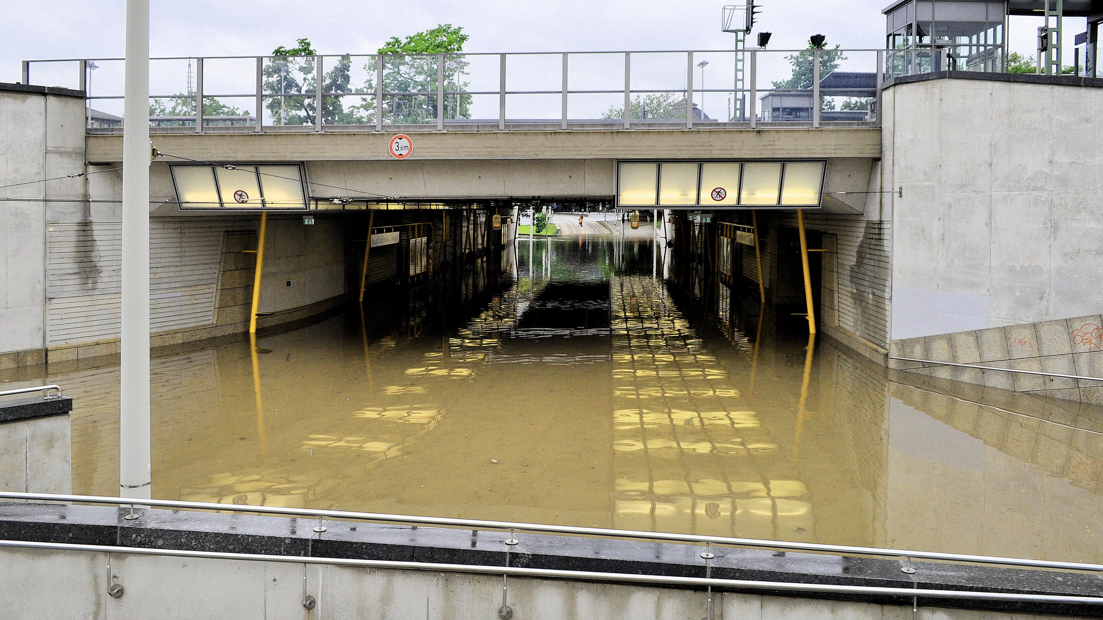 undefined. © Robby Rotha. © Robby Rotha