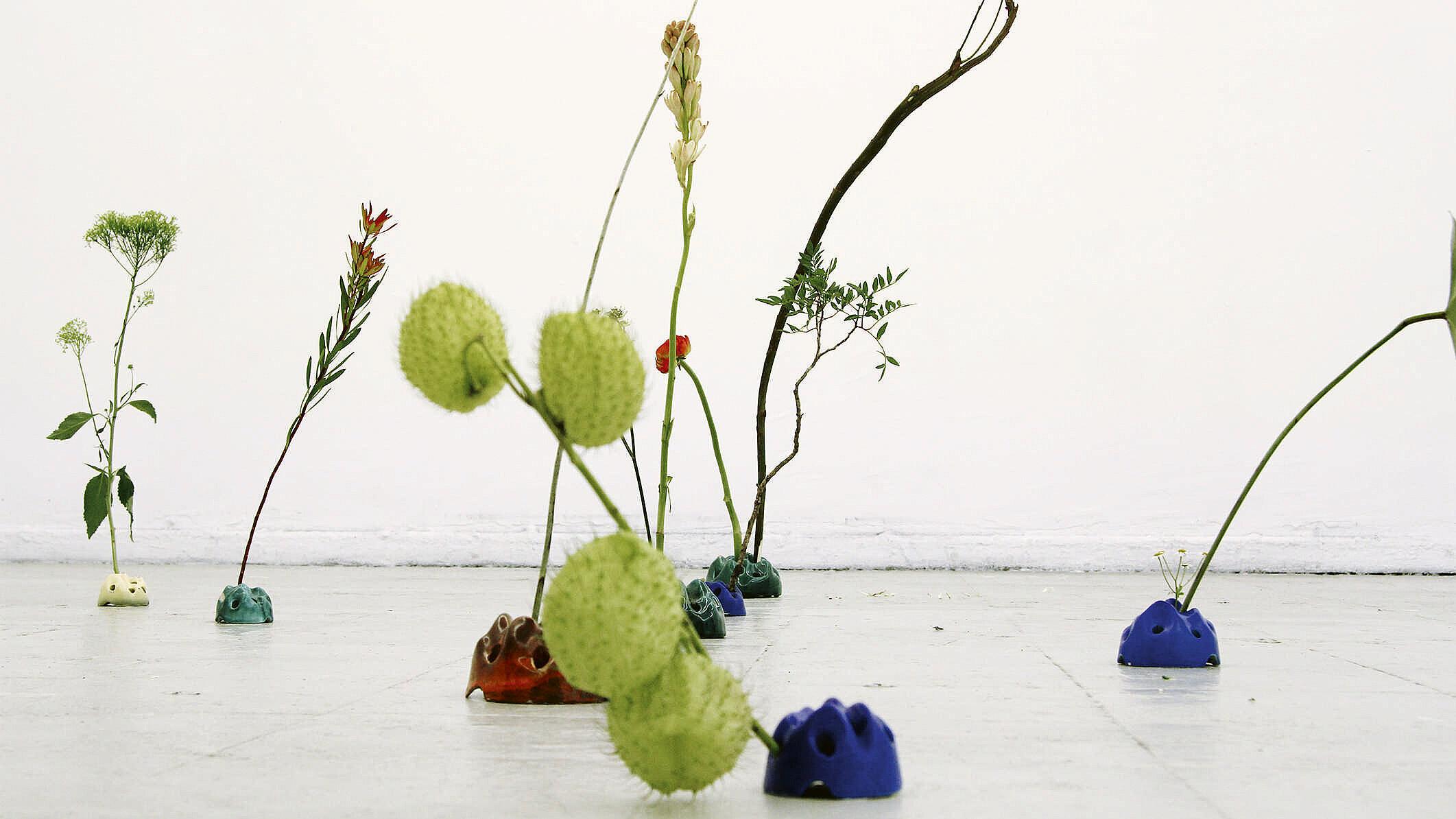 Fotografie von Florian Glaubitz auf der ein Blumenarrangement mit einzelnen Blütenstilen in Keramikobjekten zu sehen ist. © Florian Glaubitz