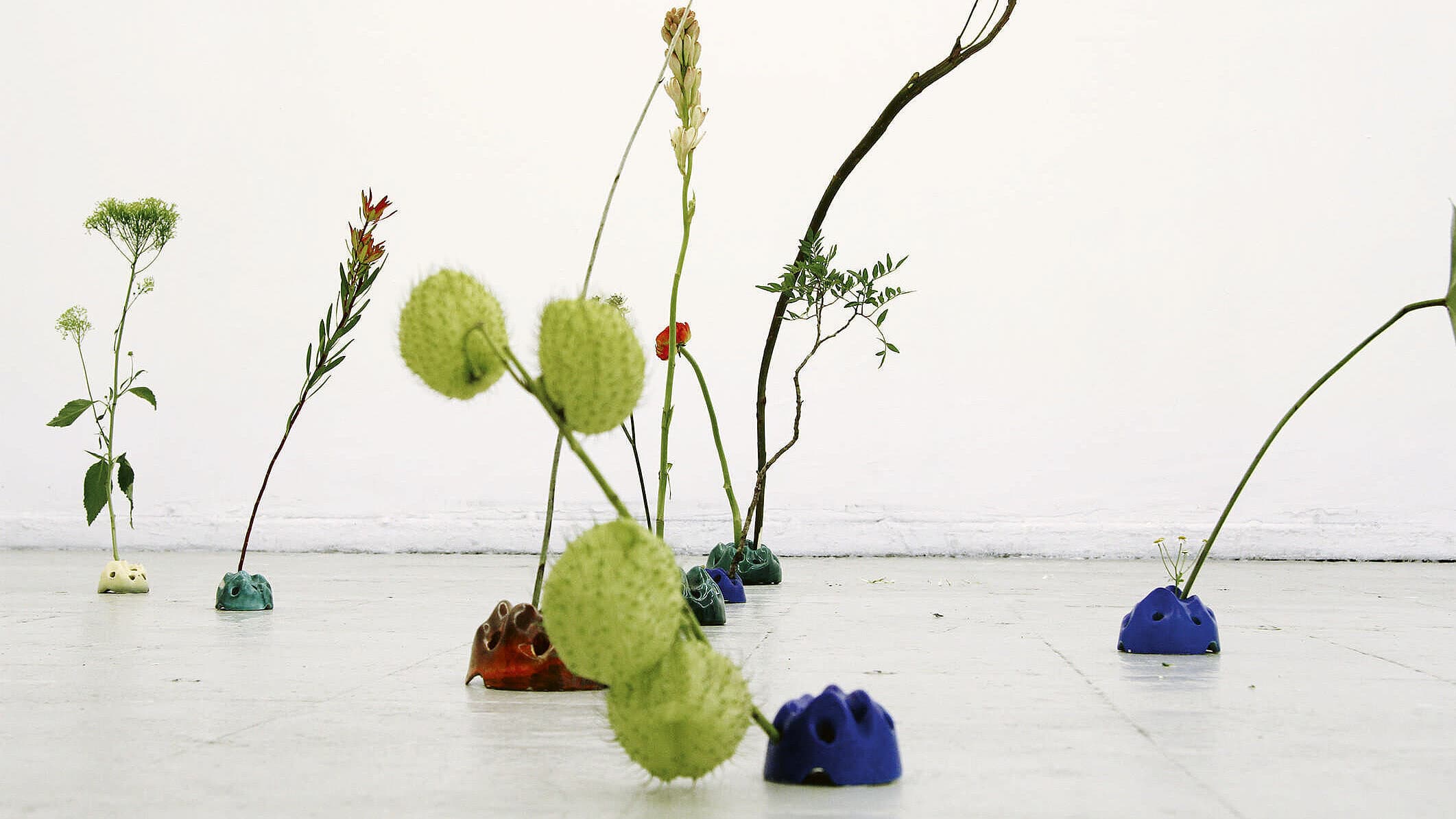 Fotografie von Florian Glaubitz auf der ein Blumenarrangement mit einzelnen Blütenstilen in Keramikobjekten zu sehen ist. © Florian Glaubitz