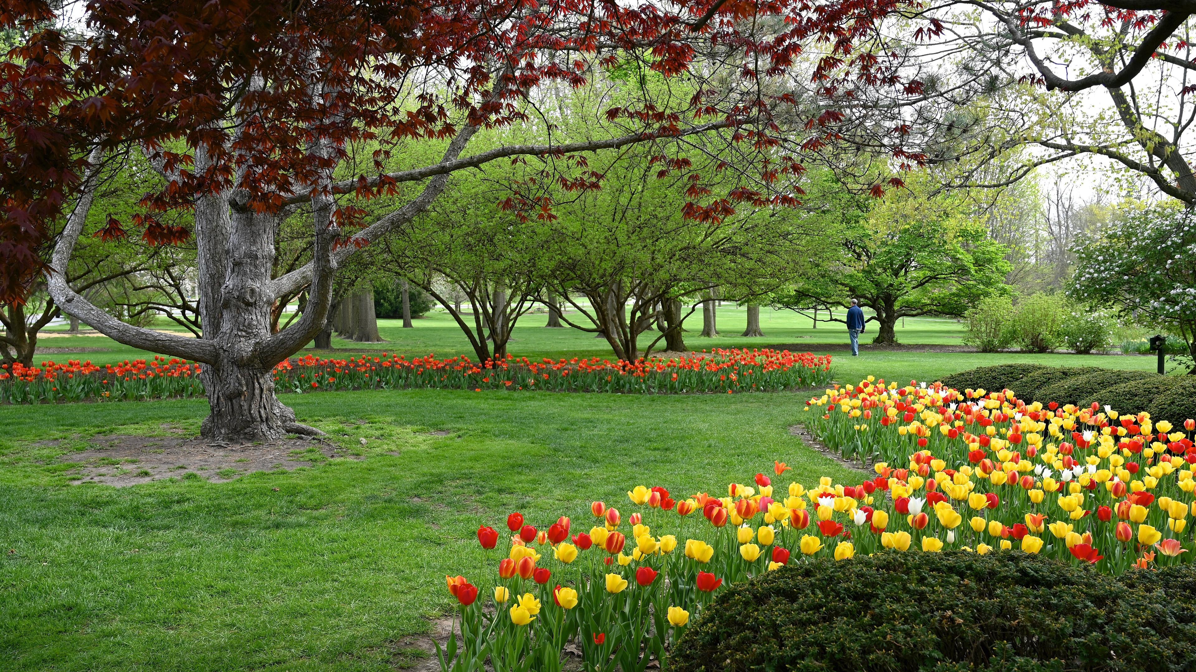 undefined. © Ramon Miller. © Ramon Miller