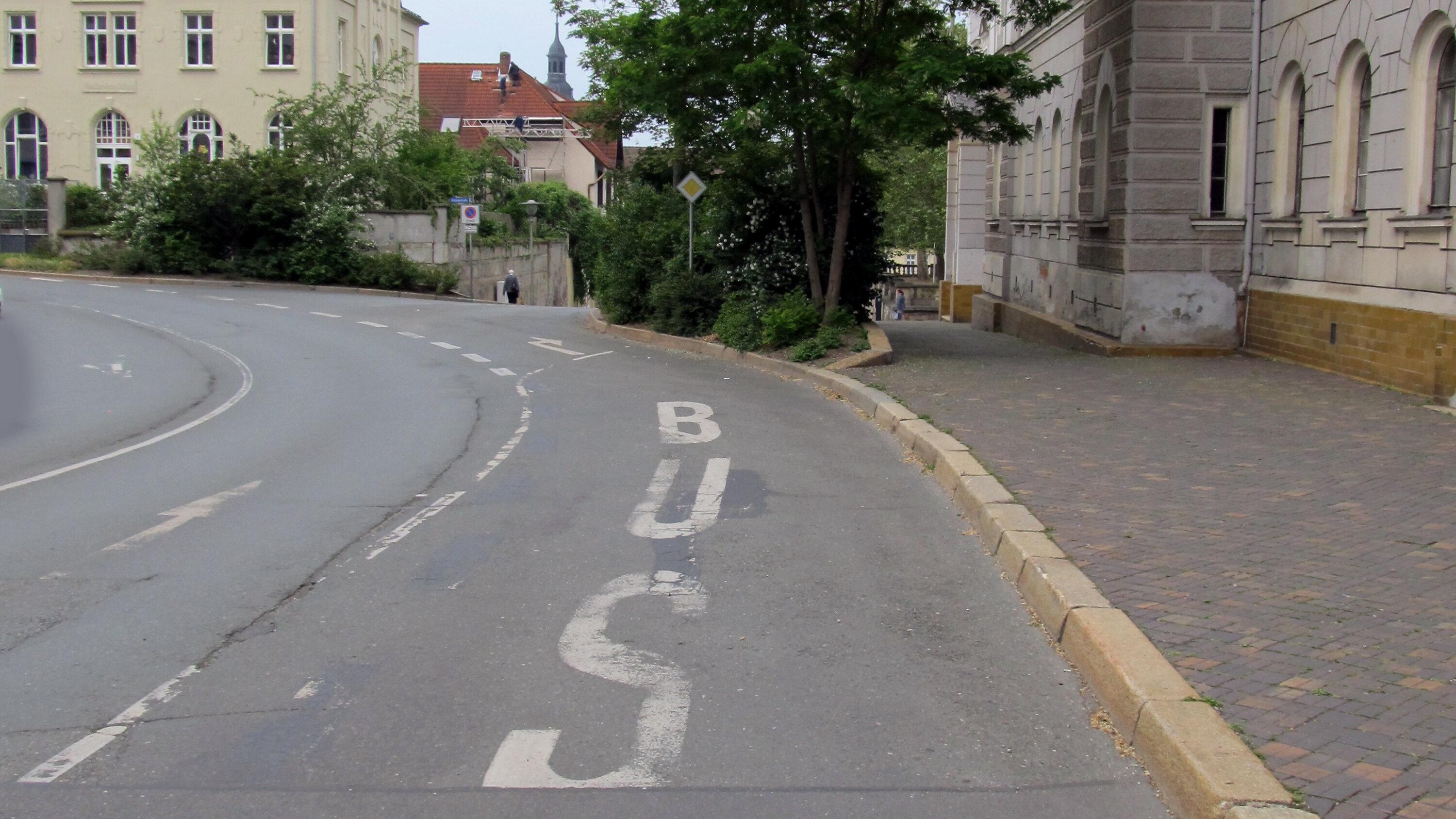 undefined. © Stadt Gera / Museum für Naturkunde (Fotograf: Frank Hrouda). © Stadt Gera / Museum für Naturkunde (Fotograf: Frank Hrouda)