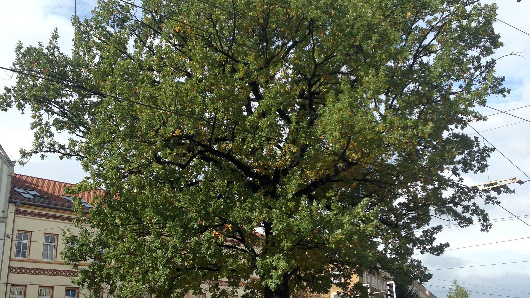 undefined. © Stadt Gera. © Stadt Gera