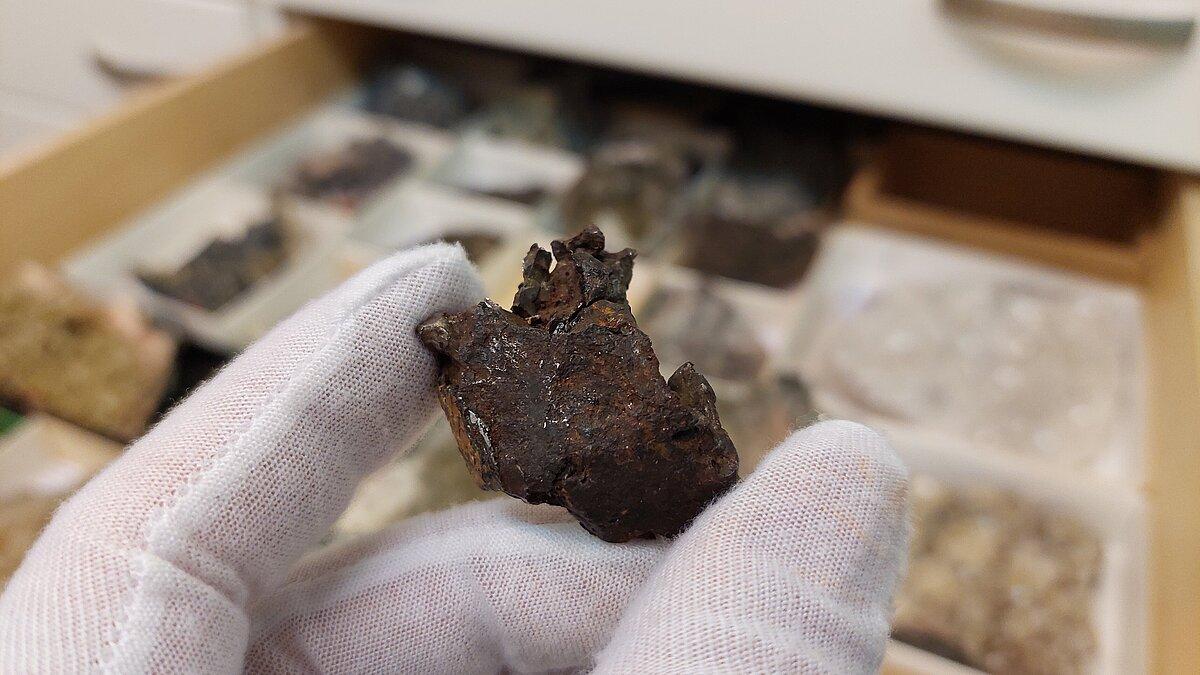 Ein Eisen-Nickel- Meteorit aus Russland. © Stadt Gera / Museum für Naturkunde (Fotograf: Frank Hrouda)