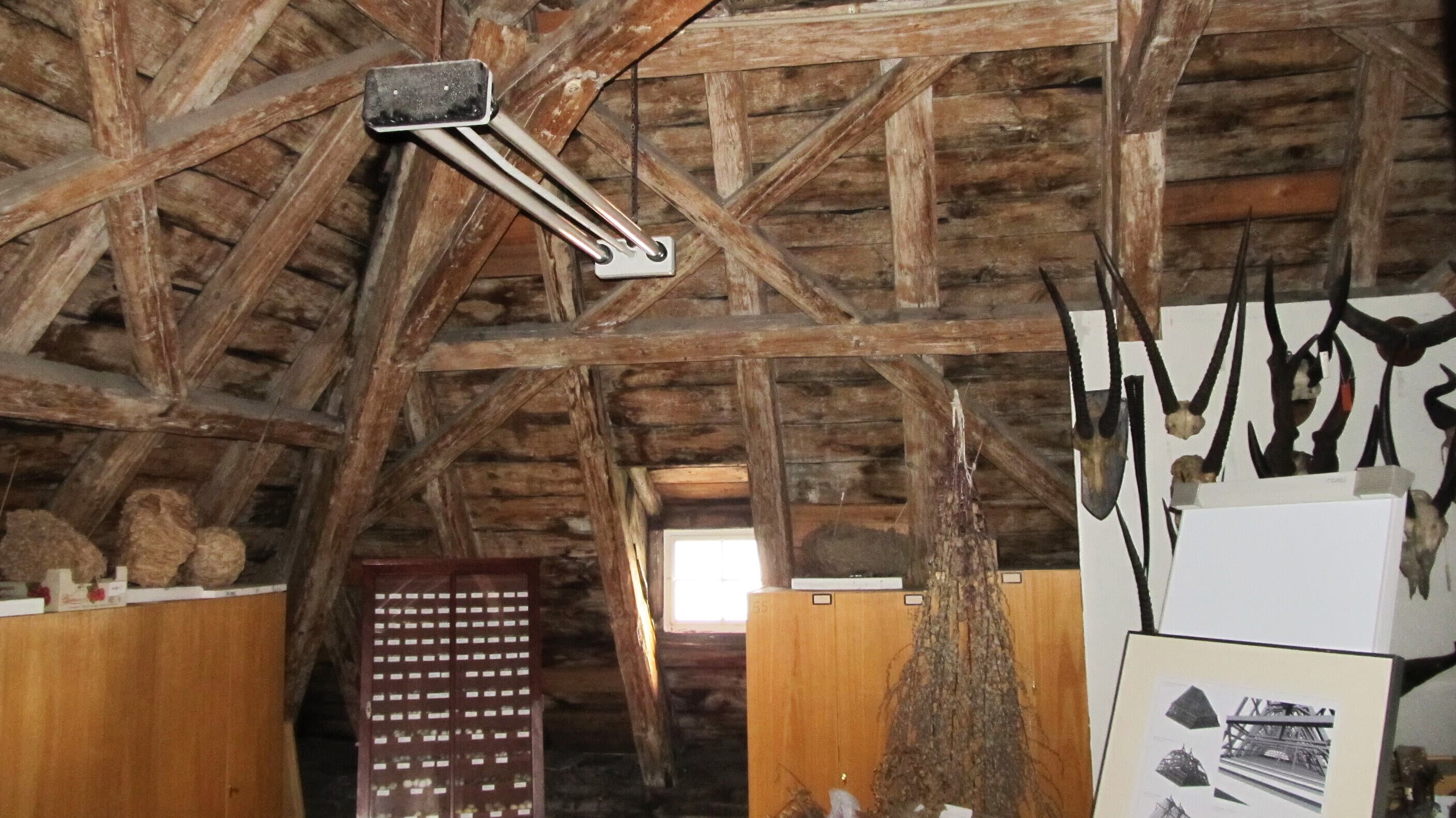 Blick in den Dachboden des Schreiberschen Hauses. © Stadt Gera / Museum für Naturkunde (Fotograf: Frank Hrauda)