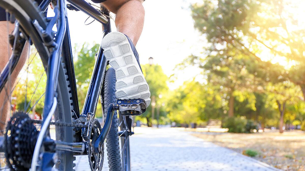 Ein Radfahrer, der umgeben von Grün mit seinem Fahrrad auf einem Weg steht. © Pixel-Shot - adobe.stock.com