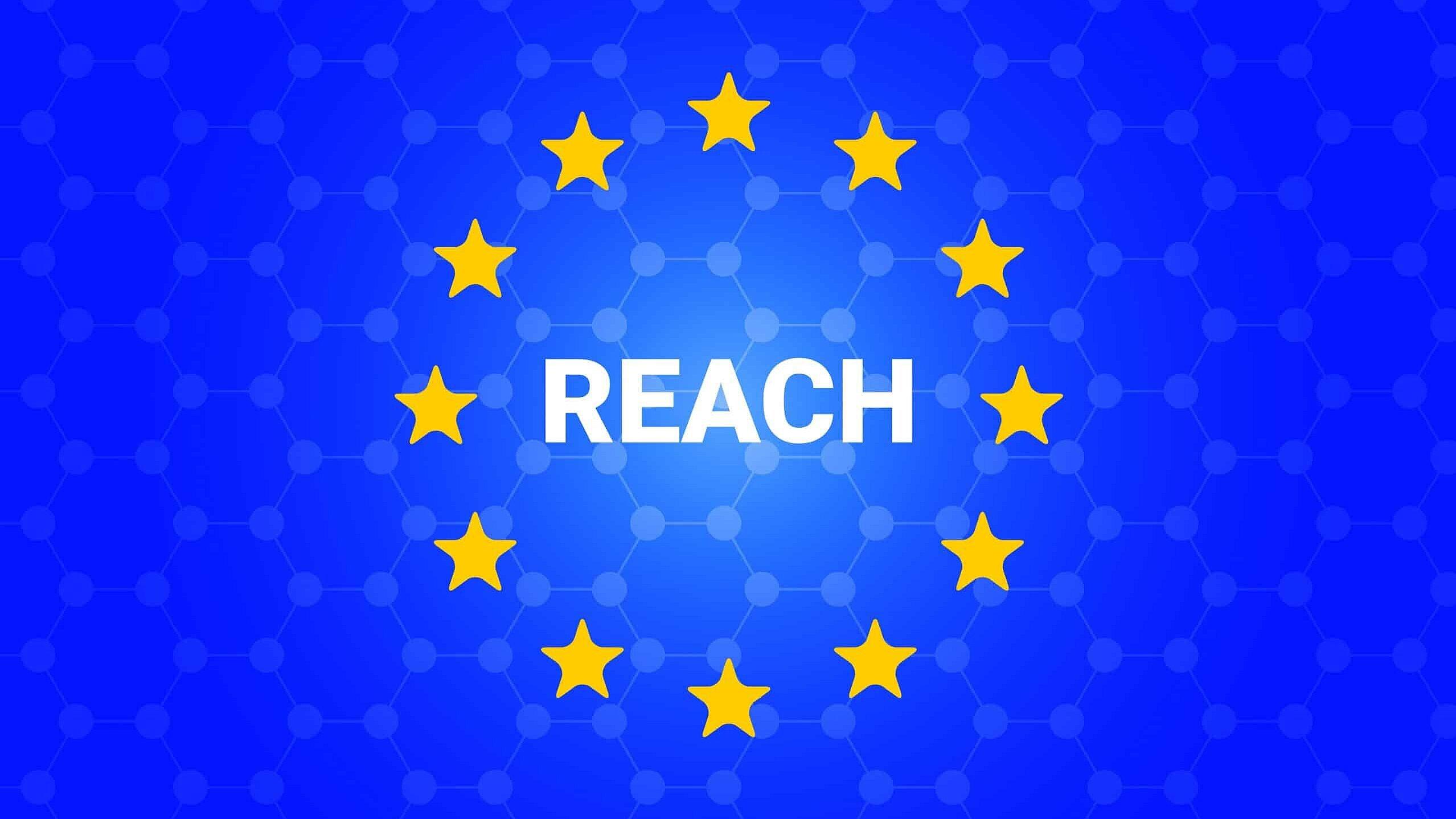 Das Word "Reach" auf blauem Hintergrund. © stock.adobe.com